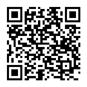 非生物因素 v1.2.0.23023 中文联机版-电玩纪元