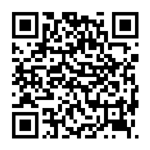 模拟农场25 v1.18.0.0 豪华中文版 全DLC+联机补丁-电玩纪元