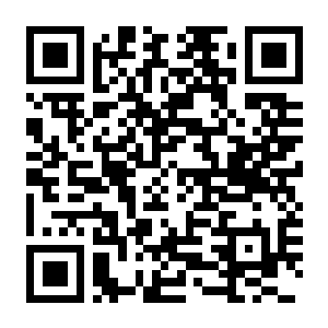 幻兽帕鲁 Palworld V0.7.3.90464 豪华中文版+全DLC+联机+新增功能+预购特典+原声音乐+修改器-电玩纪元