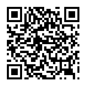 龙的传人 孤旅 Build.22002239 豪华中文版+全DLC-电玩纪元