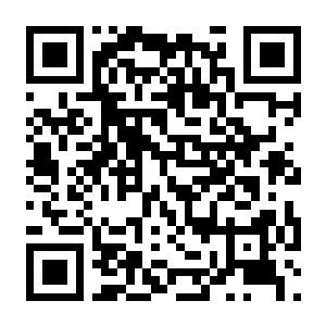 龙胤立志传 Build.22356959 豪华中文版+支持者DLC-电玩纪元