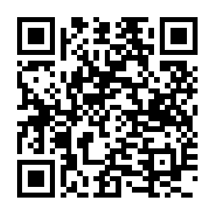 夜勤人2 无尽宝库 Build.22301230 豪华中文版+全DLC-电玩纪元