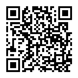 收获日2 V1.143.246 官方中文版+全DLC+预购特典+原油觉醒劫案DLC-电玩纪元