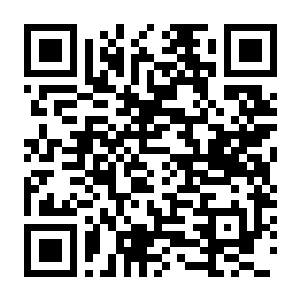 以太术士 Build.22431635 豪华中文版+全DLC-电玩纪元