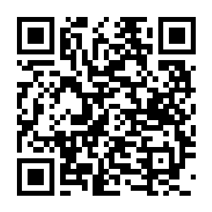 美女 请别影响我成仙 全球版 Build.22101988 全DLC+2K集成-电玩纪元