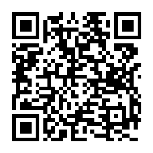 东方月神夜 Build.20049421 豪华中文版+全DLC+支持手柄-电玩纪元