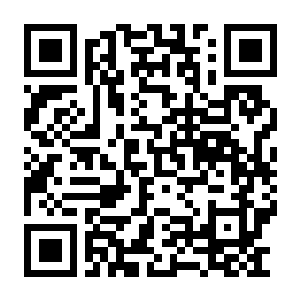 风暴崛起 V1.7.1.55792 官方中文版+全DLC+修改器-电玩纪元