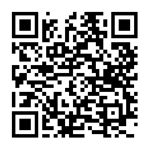 中国足球模拟器 (CFS) V.5.55 豪华中文版+全DLC+集成真实球员大补MOD-电玩纪元