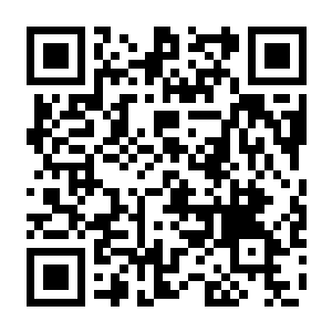 遗物守护者 Build.21748025 豪华中文版+全DLC-电玩纪元