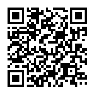 风屿奇航 Build.22436996 豪华中文版+全DLC-电玩纪元