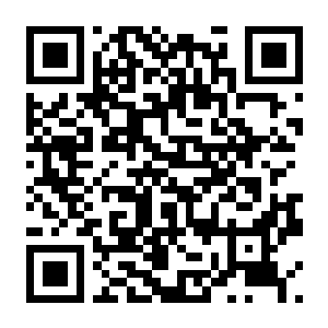 静脉注射2 支持者版 V1.4.8 官方中文版+全DLC+新重制DLC-电玩纪元