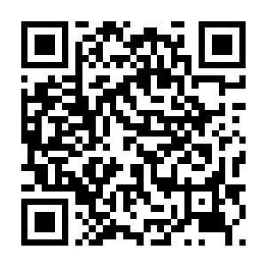 卡牌修仙传 Build.22452877 全DLC-电玩纪元