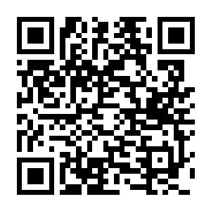 萌萌夹击 MOMO Crash V1.8.0a 官方中文版+全DLC+网球+复活节兔+新曲-电玩纪元