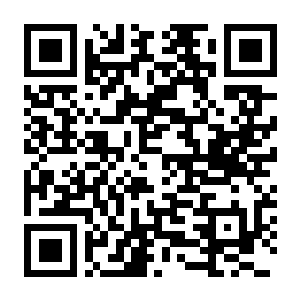 完蛋！我被美女包围了！2（Love Is All Around 2）免安装模拟器版下载-电玩纪元