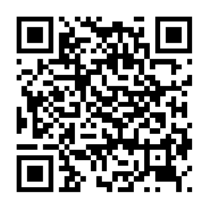 逃出从此以后 Build.22136155 官方中文版+全DLC-电玩纪元