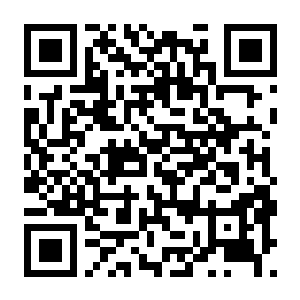 帝国时代2 重置决定版 V170934 中字-国语版+全DLC+修改器+最后的酋长DLC-电玩纪元
