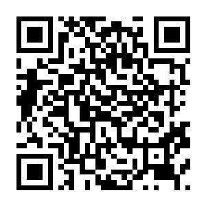 全面战争模拟器 v1.1.8.7 豪华中文版 全DLC-电玩纪元