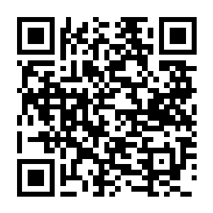 赏金奇兵3 Build.20101019 豪华中文版+全DLC+预购特典决胜千里-电玩纪元