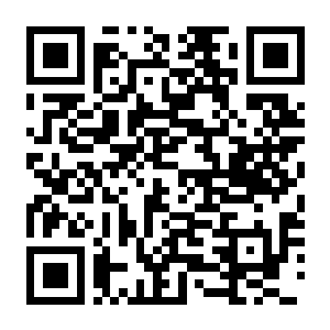 地铁2033 重制版 Build.20790582 豪华中文版+全DLC-电玩纪元