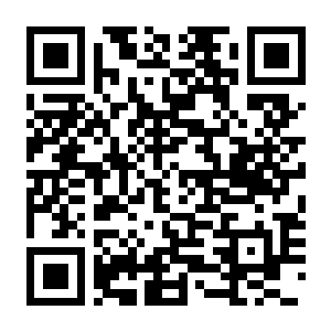 我的机器人女友 Build.22324255 豪华中文版+全DLC-电玩纪元