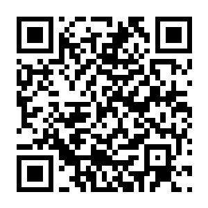 生化危机 启示录2 Build.20658995 豪华中文版+全DLC-电玩纪元