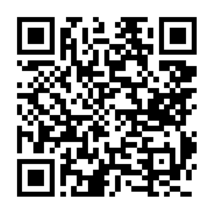 咒语力量3 增强版 Build.20689656 豪华中文版+全DLC+全季票-电玩纪元