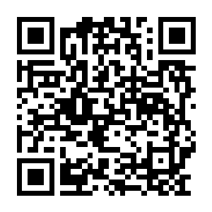 珊瑚岛 Build.22161242 官方中文版+全DLC-模拟经营-种田-沙盒-电玩纪元