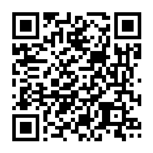 警区 V1.11.22854 豪华中文版+全DLC+原声音乐+沙盒模式-电玩纪元