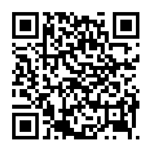 VR战士5 世界舞台 V1.08 豪华中文版+全DLC+预购特典-电玩纪元