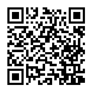 人类Z Humanitz 正式版 人性末日 单机+联机 v1.03.B 豪华中文版+全DLC-电玩纪元