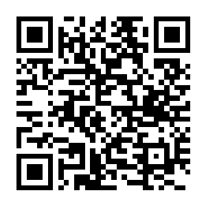 群星 银河版 V4.3.3 官方中文版+全DLC+鲸鱼座+炼狱种族包DLC+修改器-电玩纪元