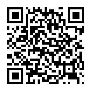 碧蓝幻想：Relink v1.0.5单机版-电玩纪元