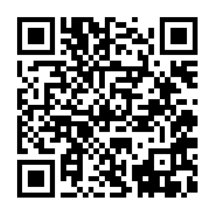 超级机器人大战Y 终极版 Build.21251931 豪华中文版+全DLC+修改器+预购特典-电玩纪元