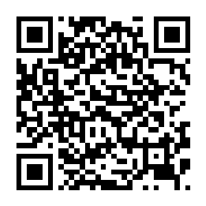 神探杰克鼠 v1.0.1 豪华中文版+全DLC-电玩纪元