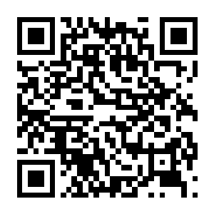 深渊之印 支持者版 Build.22804249 官方中文版+诅咒试炼DLC+全DLC-电玩纪元