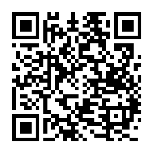 饥荒 离线版 v722900-电玩纪元