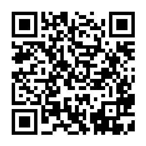 汪汪队立大功世界 v1.0.7 豪华中文版 全DLC-电玩纪元