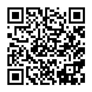 四海兄弟 故乡 Build.20958953 豪华中文版+全DLC+预购特典+修改器-电玩纪元