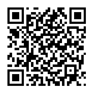 吸血鬼爬行者：屠戮地牢的吸血鬼幸存者 v1.4.0 官方中文版+全DLC-电玩纪元