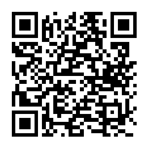 EA SPORTS FC™ 26 Build.22519558 豪华中文版+全DLC+支持手柄-电玩纪元