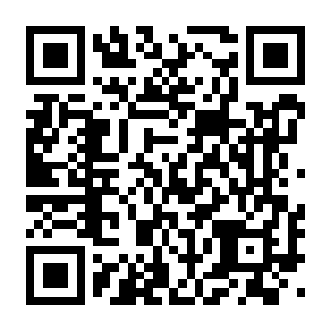 心之岛 豪华数字版 Build.22528879 豪华中文版+全DLC-电玩纪元