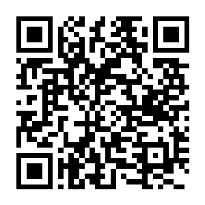 识质存在 Build.22357085 豪华中文版+全DLC+预购特典-电玩纪元