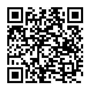 双点博物馆 馆长典藏版 Build.22389256 豪华中文版+全DLC+预购奖励+季票-电玩纪元