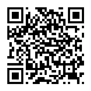 魔导物语 菲娅与奇妙的学校+预购特典+全DLC-电玩纪元