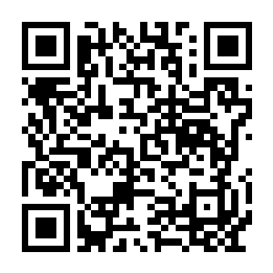 庞贝：遗产 v1.000.6 中文正式版-电玩纪元