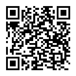 网吧模拟器1+网吧模拟器2-电玩纪元