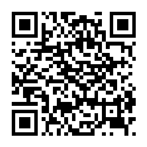 城市公交模拟 v1.0.94413 豪华中文版 全DLC-电玩纪元