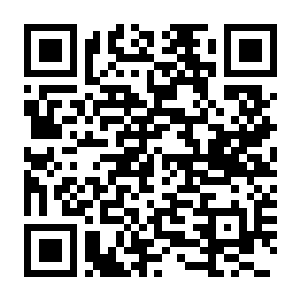 街头霸王6 v2.0201.000 豪华中文版 全DLC-电玩纪元