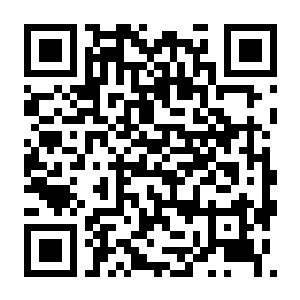 底特律 化身为人 Build.12158144 豪华中文版+全DLC-电玩纪元