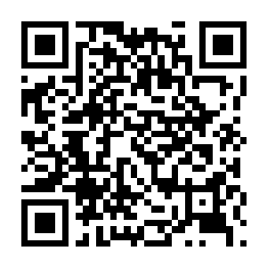 CF单机带生化（起源引擎）（集成no_steam补丁）-电玩纪元